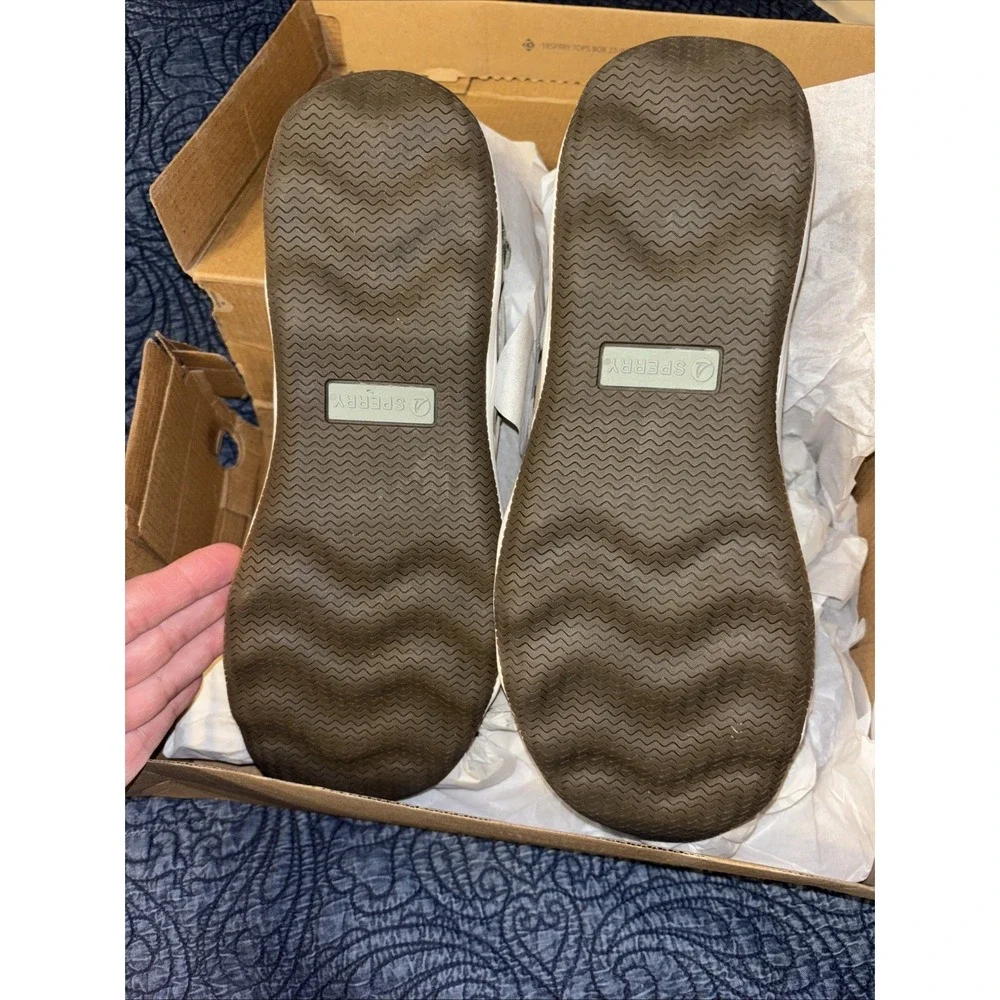Sperry box torn